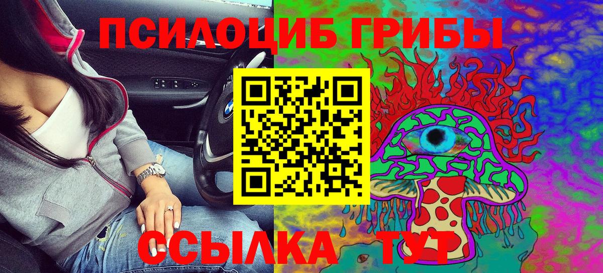 Псилоцибиновые грибы MAGIC MUSHROOMS Пугачёв